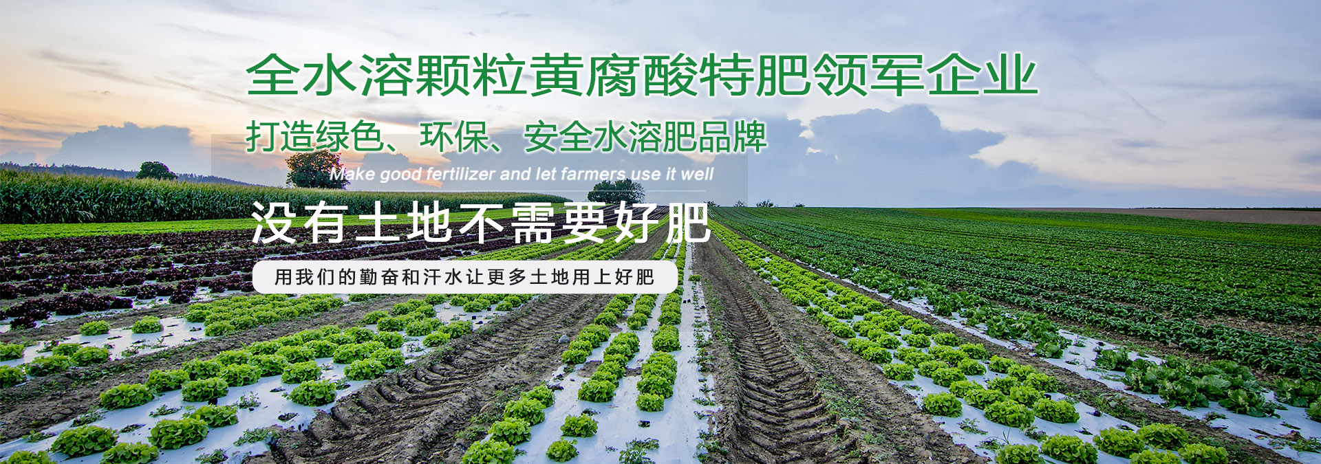 水溶肥廠家